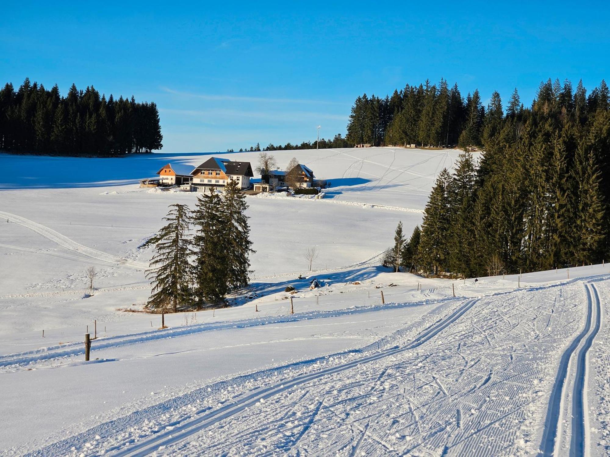 Lorenzenhaeusle Titisee-Neustadt Exterior photo