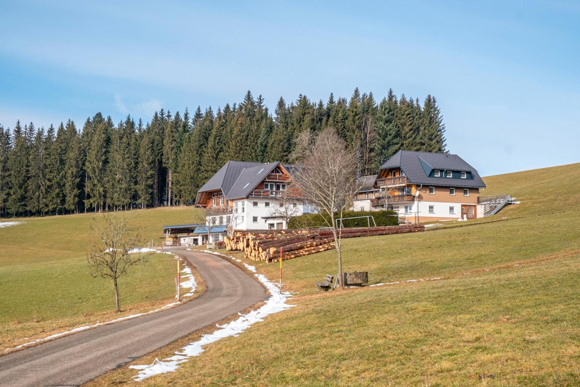 Lorenzenhaeusle Titisee-Neustadt Exterior photo