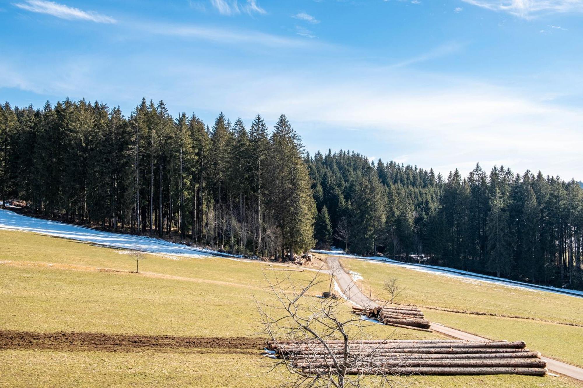 Lorenzenhaeusle Titisee-Neustadt Exterior photo