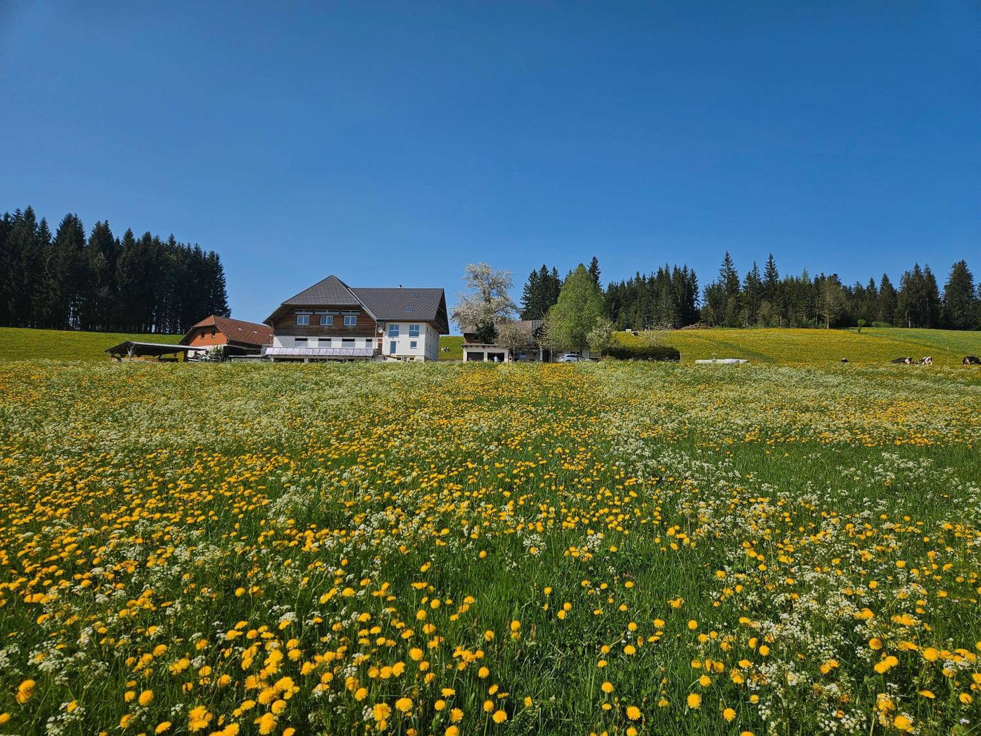 Lorenzenhaeusle Titisee-Neustadt Exterior photo