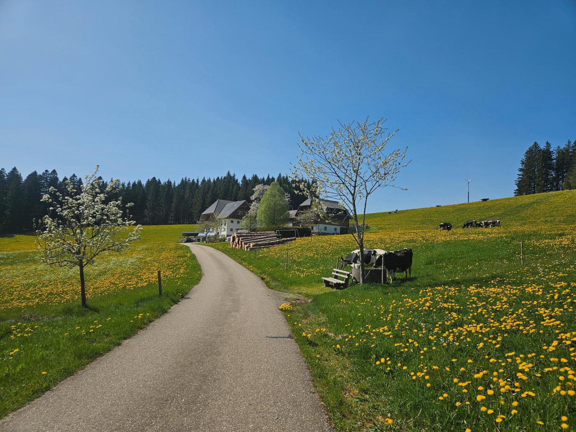 Lorenzenhaeusle Titisee-Neustadt Exterior photo